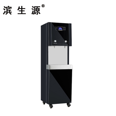 濱生源BSY-20BK（20款）商用凈水機(jī)
